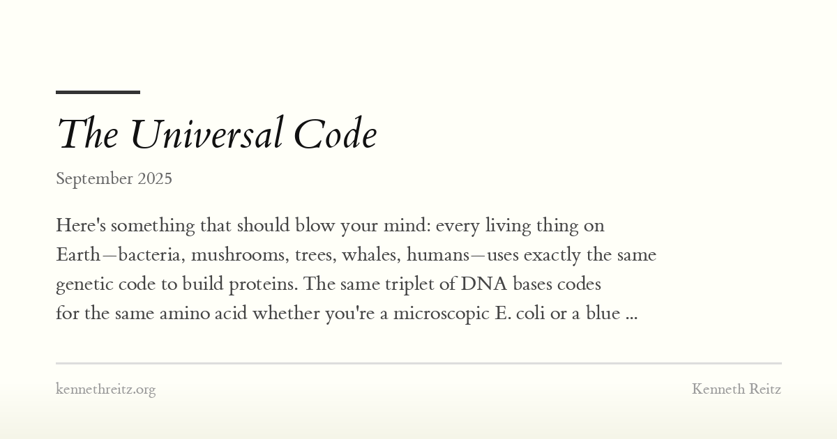 The Universal Code - Kenneth Reitz