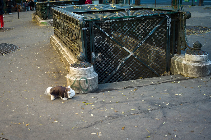 Street vendor with steaming beans