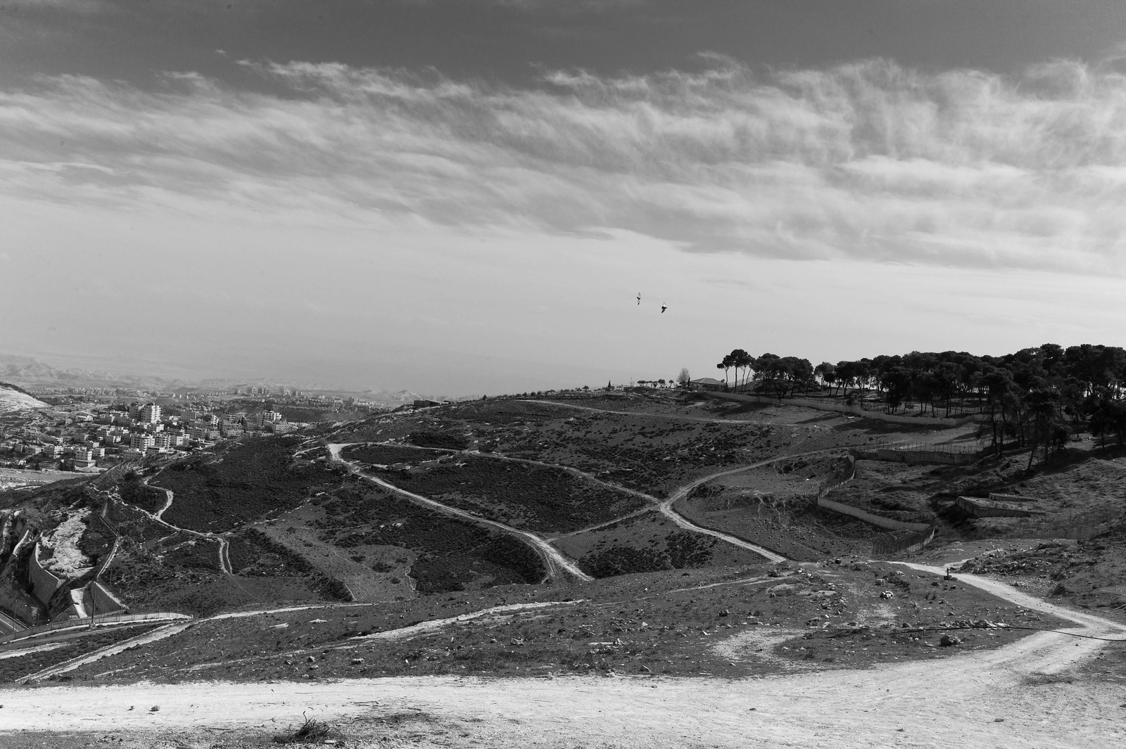 Mount of olives