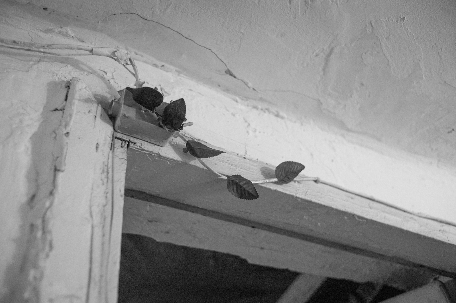 photo of wire leaves